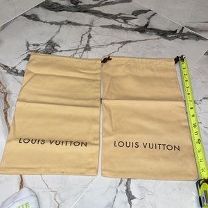 Louis Vuitton New shoe bags 🤎